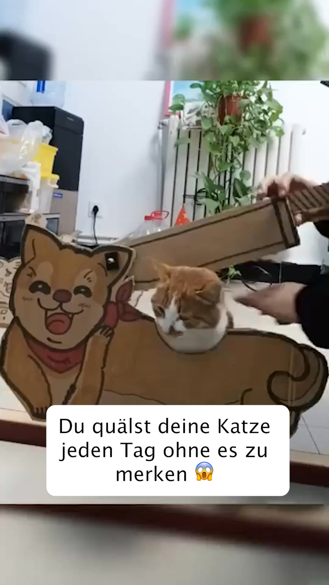 1+1 Neukunden Angebot