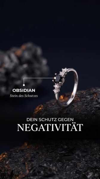 Entdecke deinen neuen Begleiter