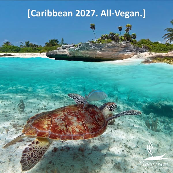 Your 2027 Plant-Based Ocean Getaway Awaits. Welcome aboard!
