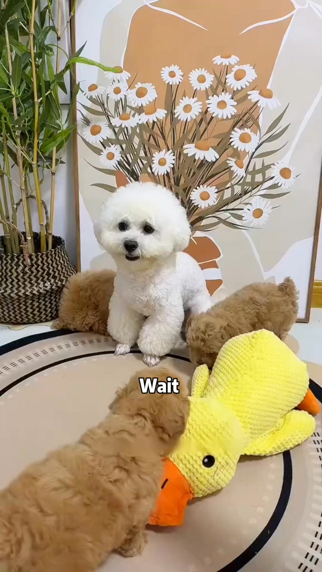 [BEST SELLER] Calming Duck Dog Toy