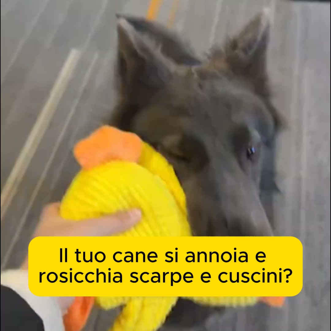 Paga alla consegna