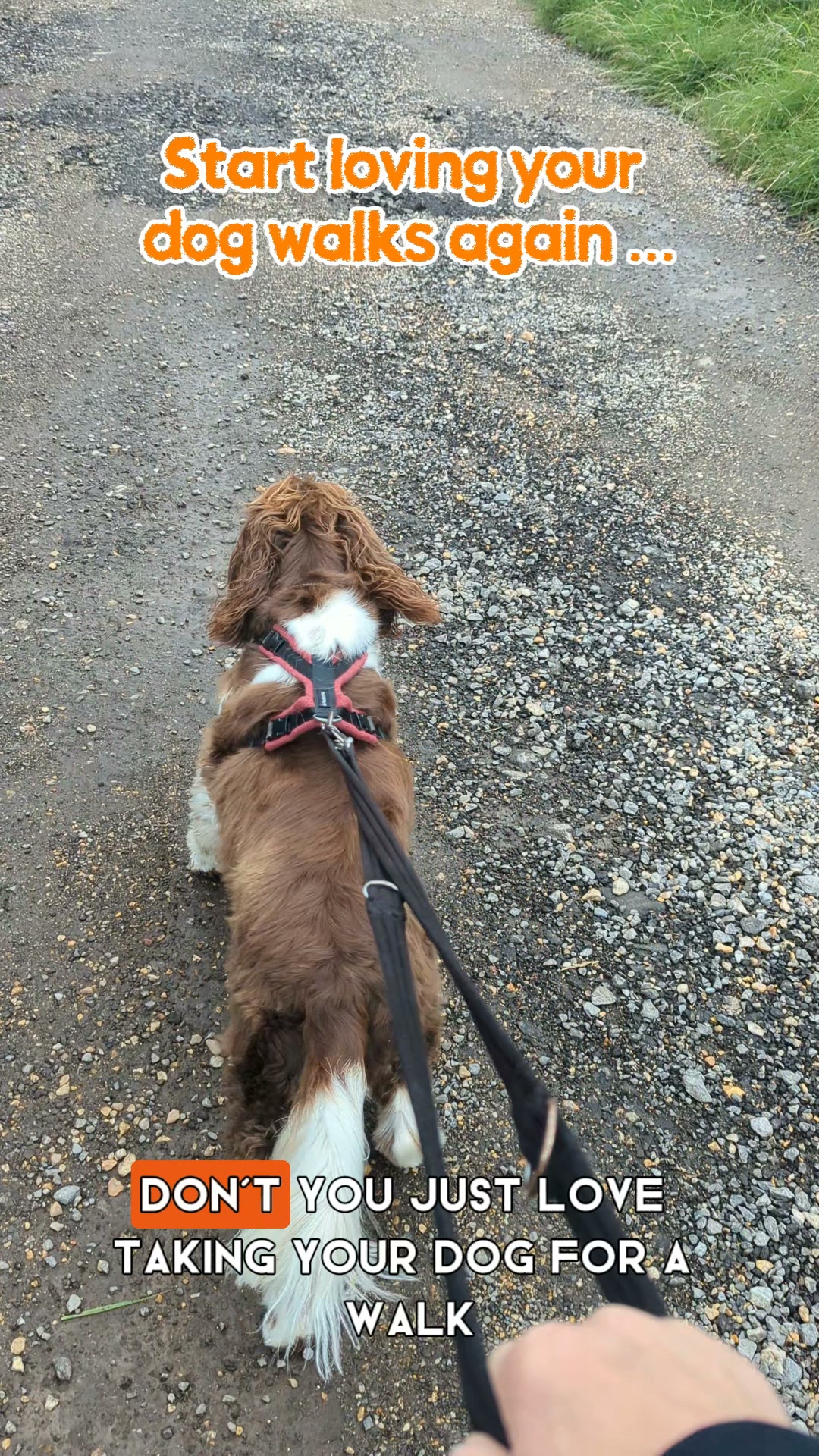 Make every walk more enjoyable