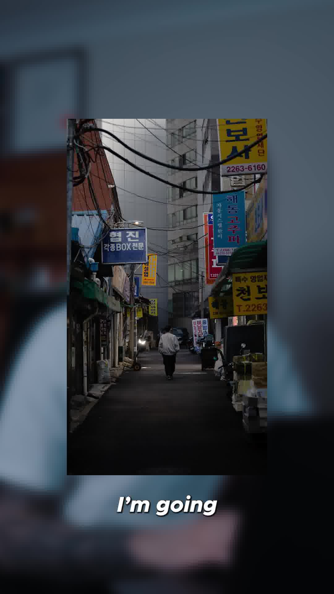 ONE CLICK LUTs