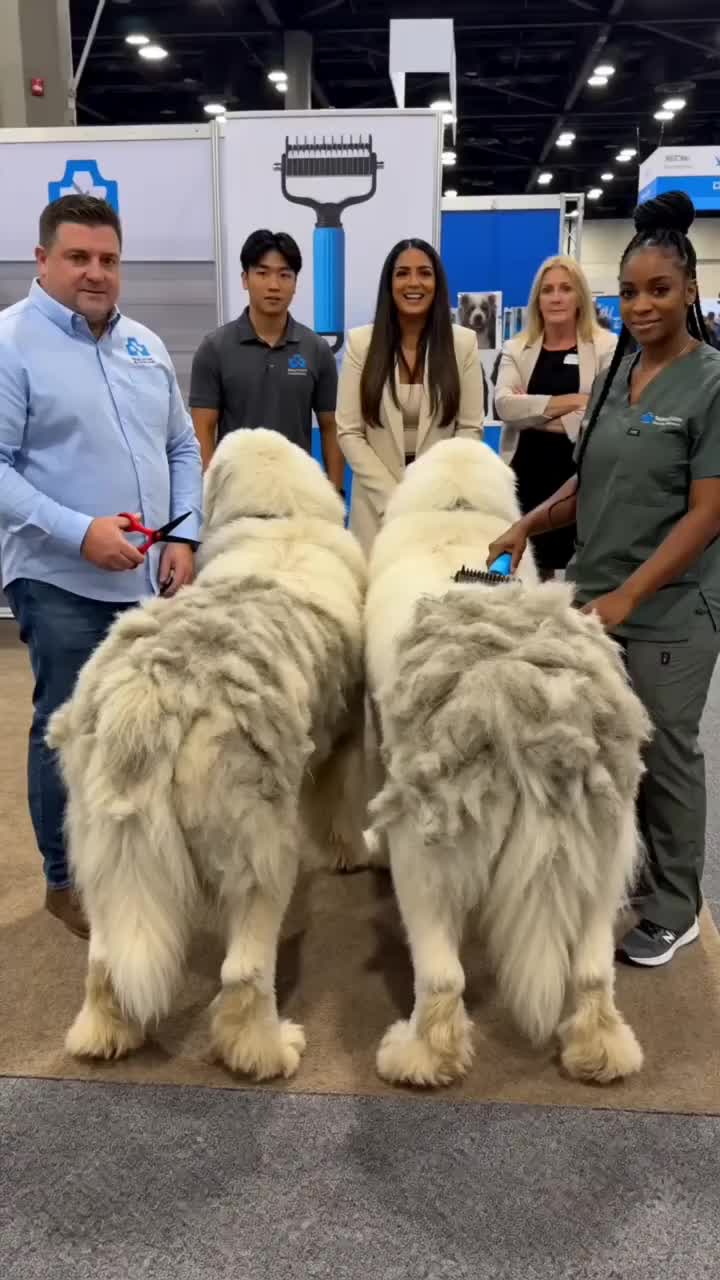 New Pet Pro Grooming Tool