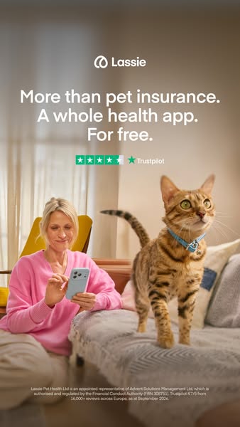 Insure your pet today