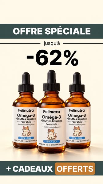 Offre valable aujourd'hui !