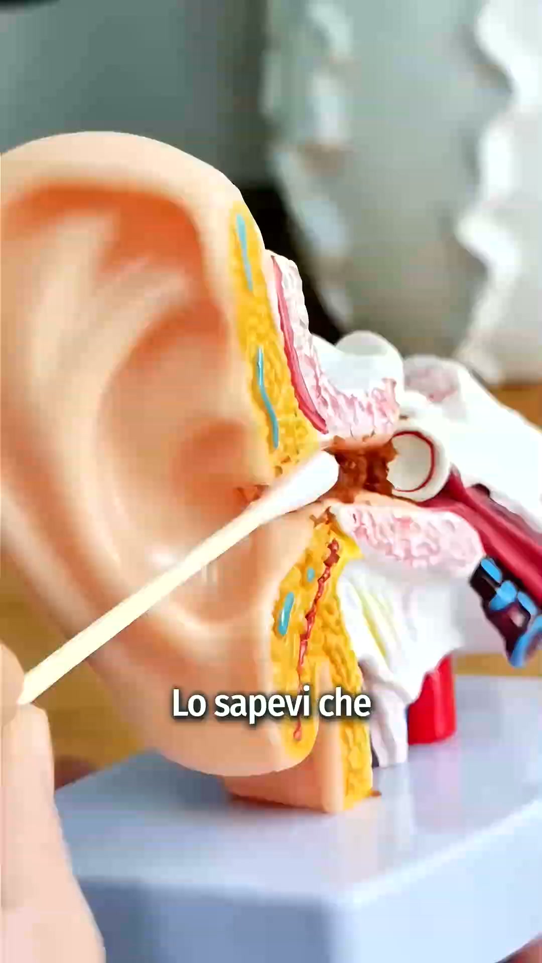 Cattura il cerume invece di spingerlo