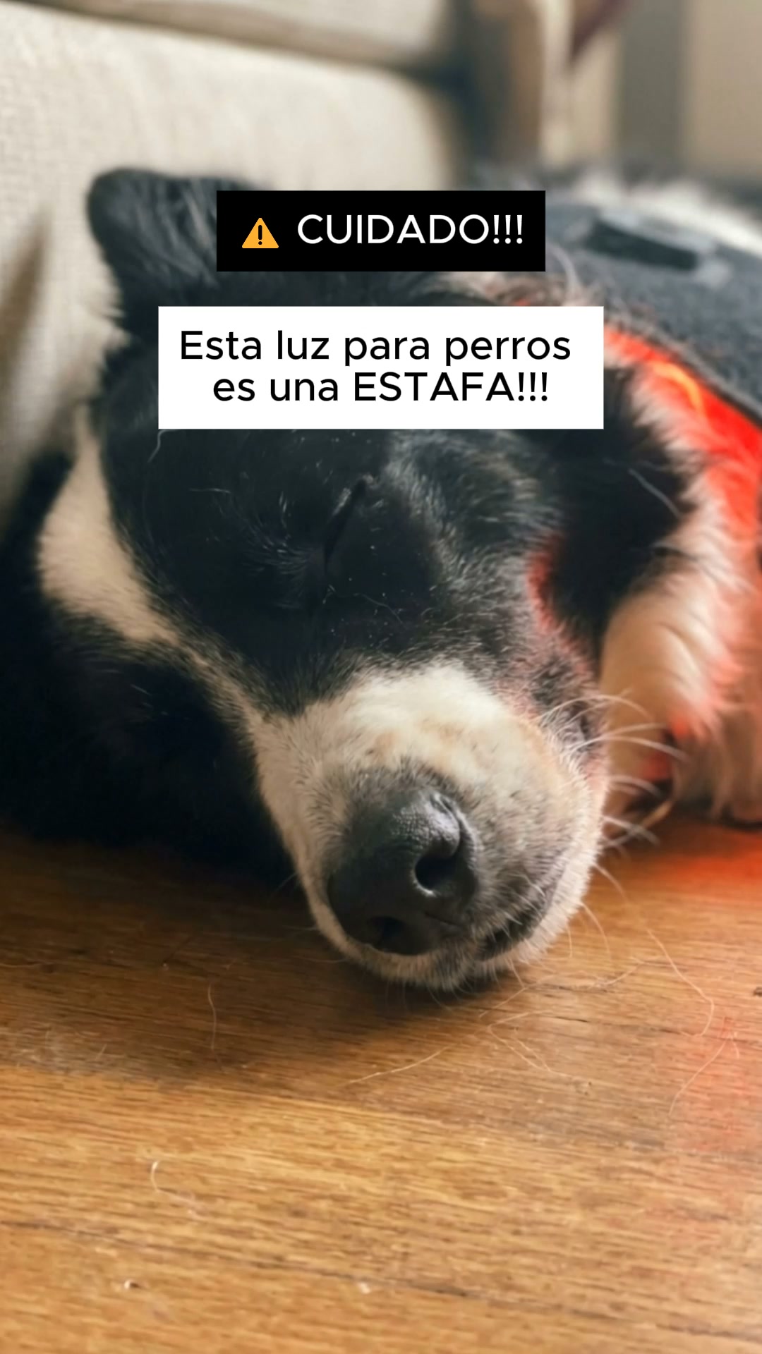 ¿Estafa? Investígalo tú mismo