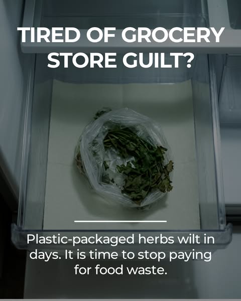 Stop buying herbs that die in three days