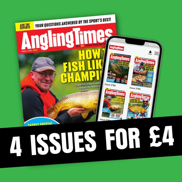 4 issues for just £4