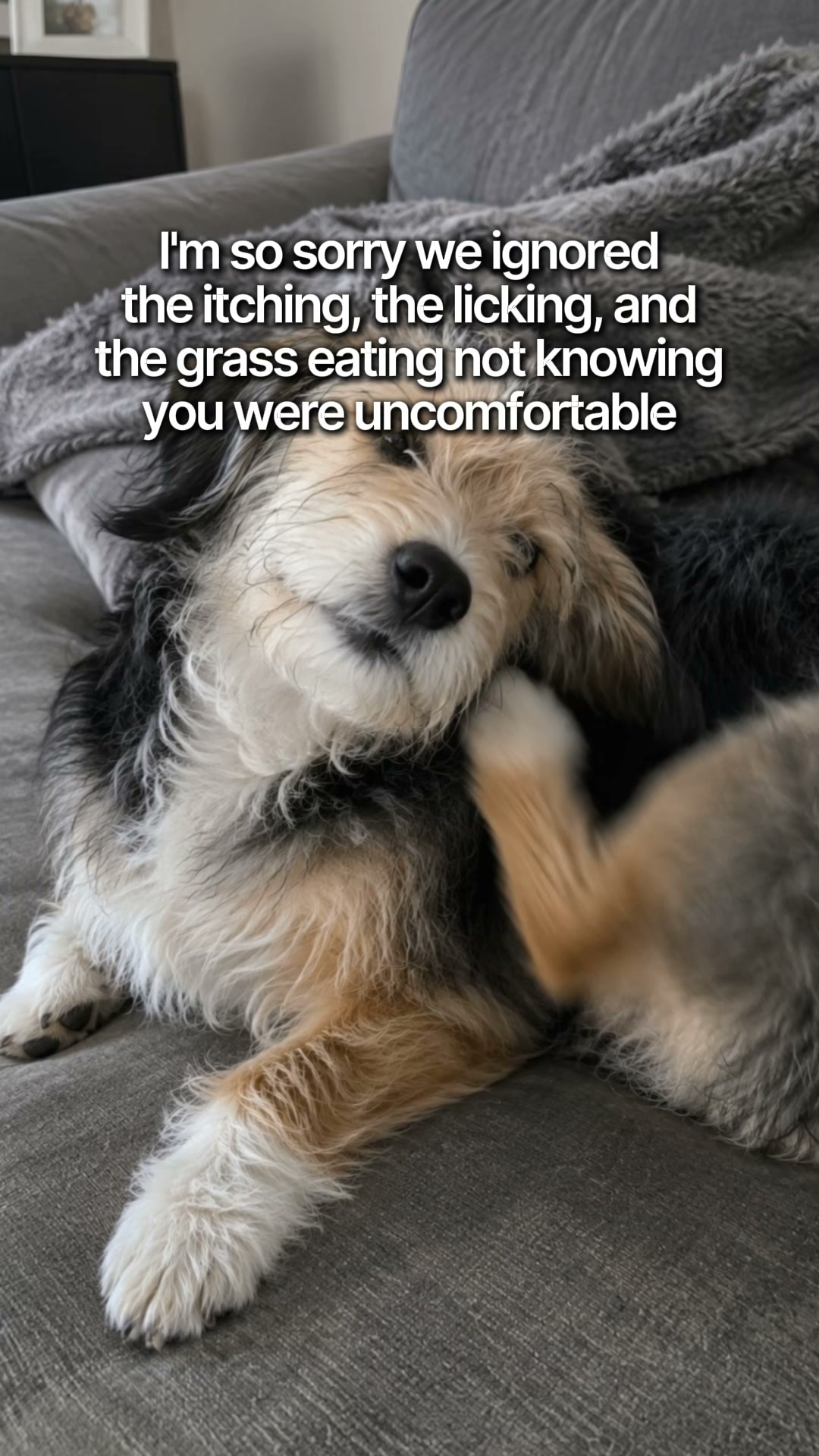 Give Them More Of The Good Days