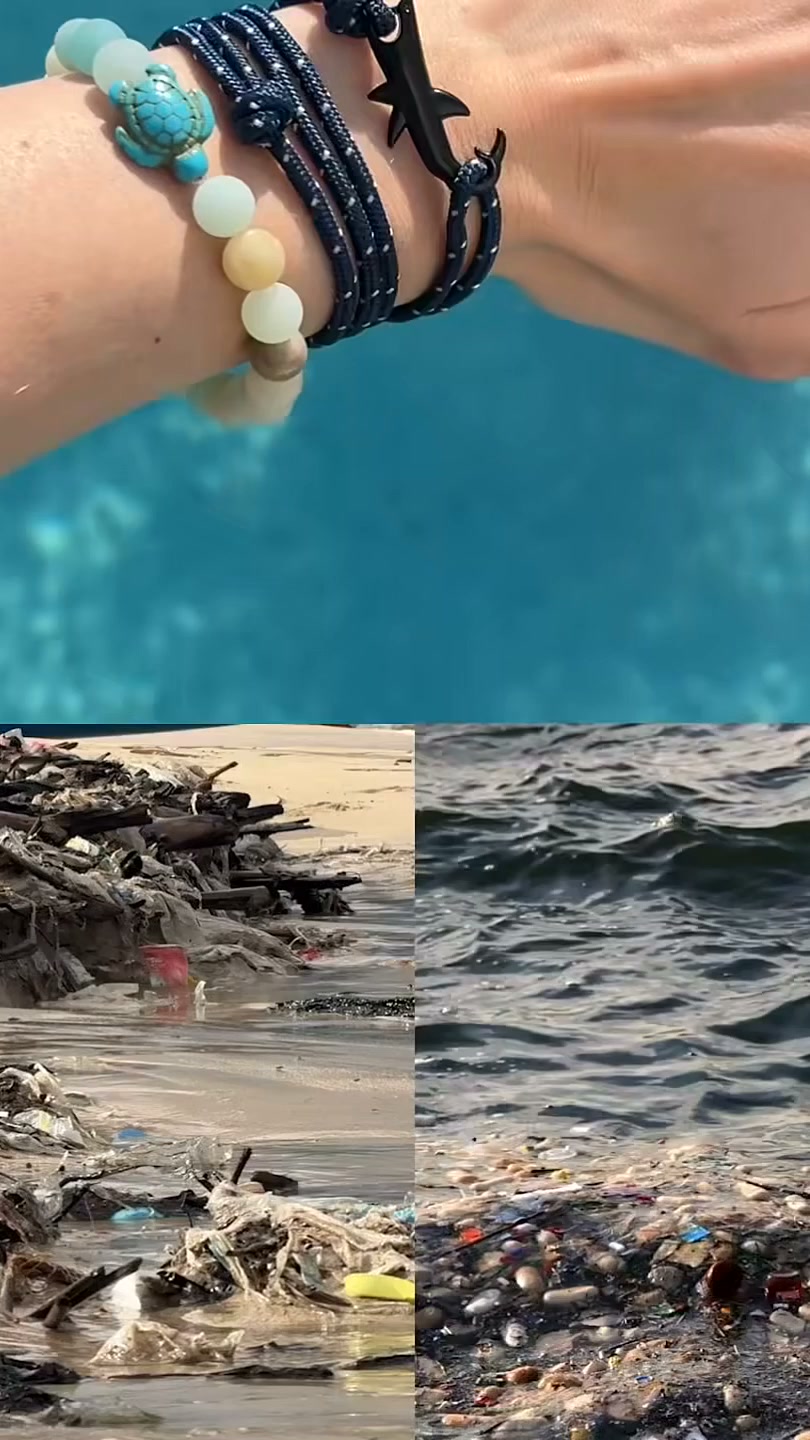 For Those Who Love the Ocean