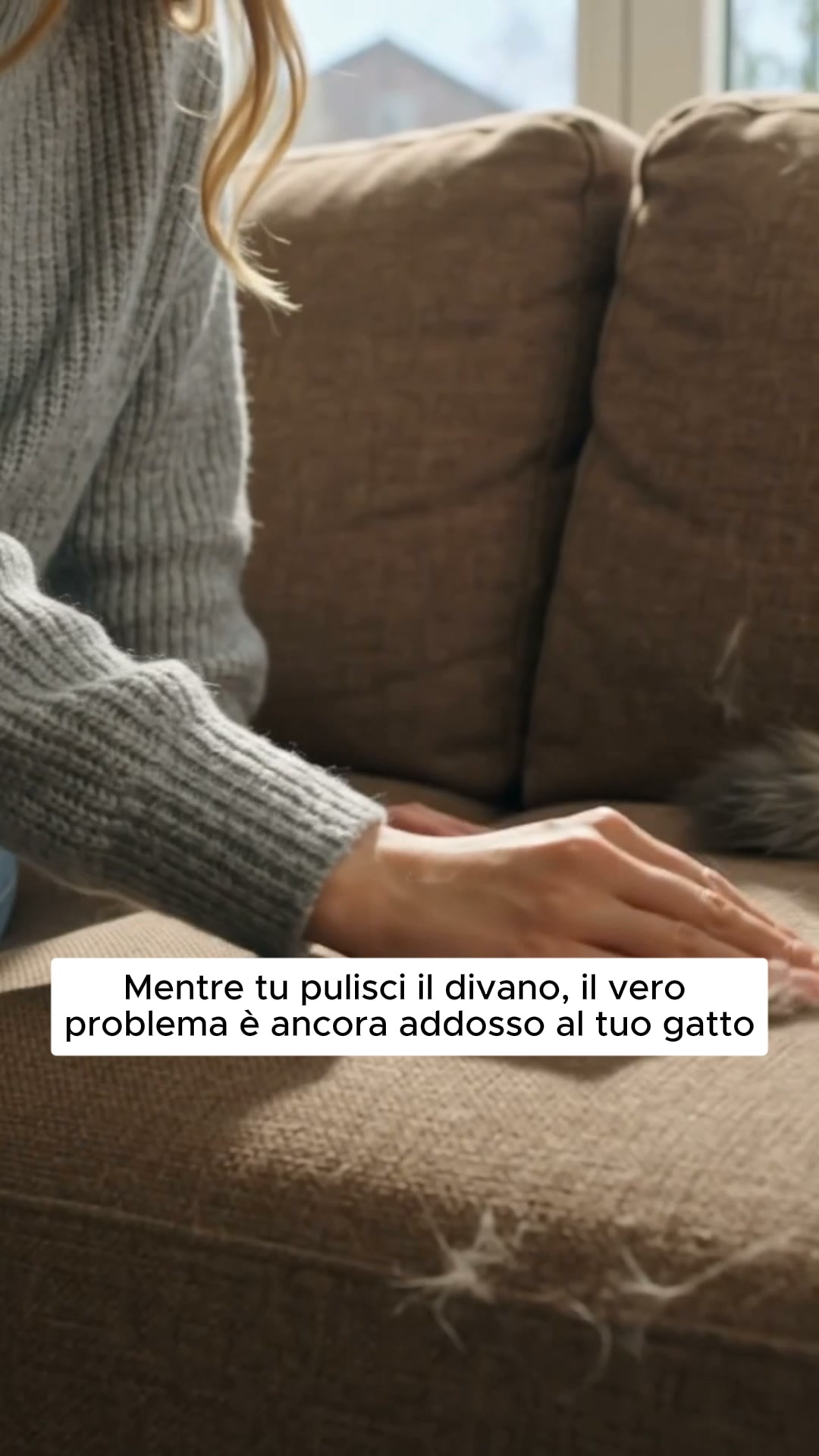 Niente più aspirapolvere o rulli adesivi!