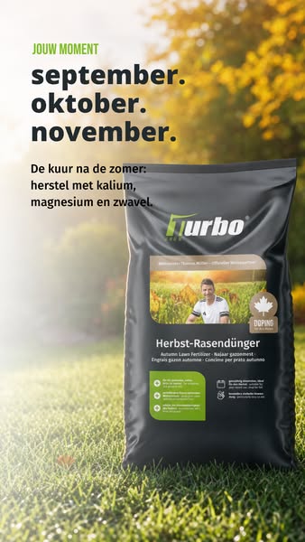 Je gazon redden na de zomer