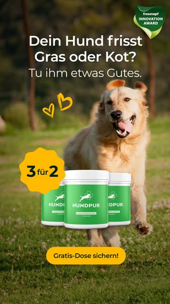 3 für 2 - nur für kurze Zeit
