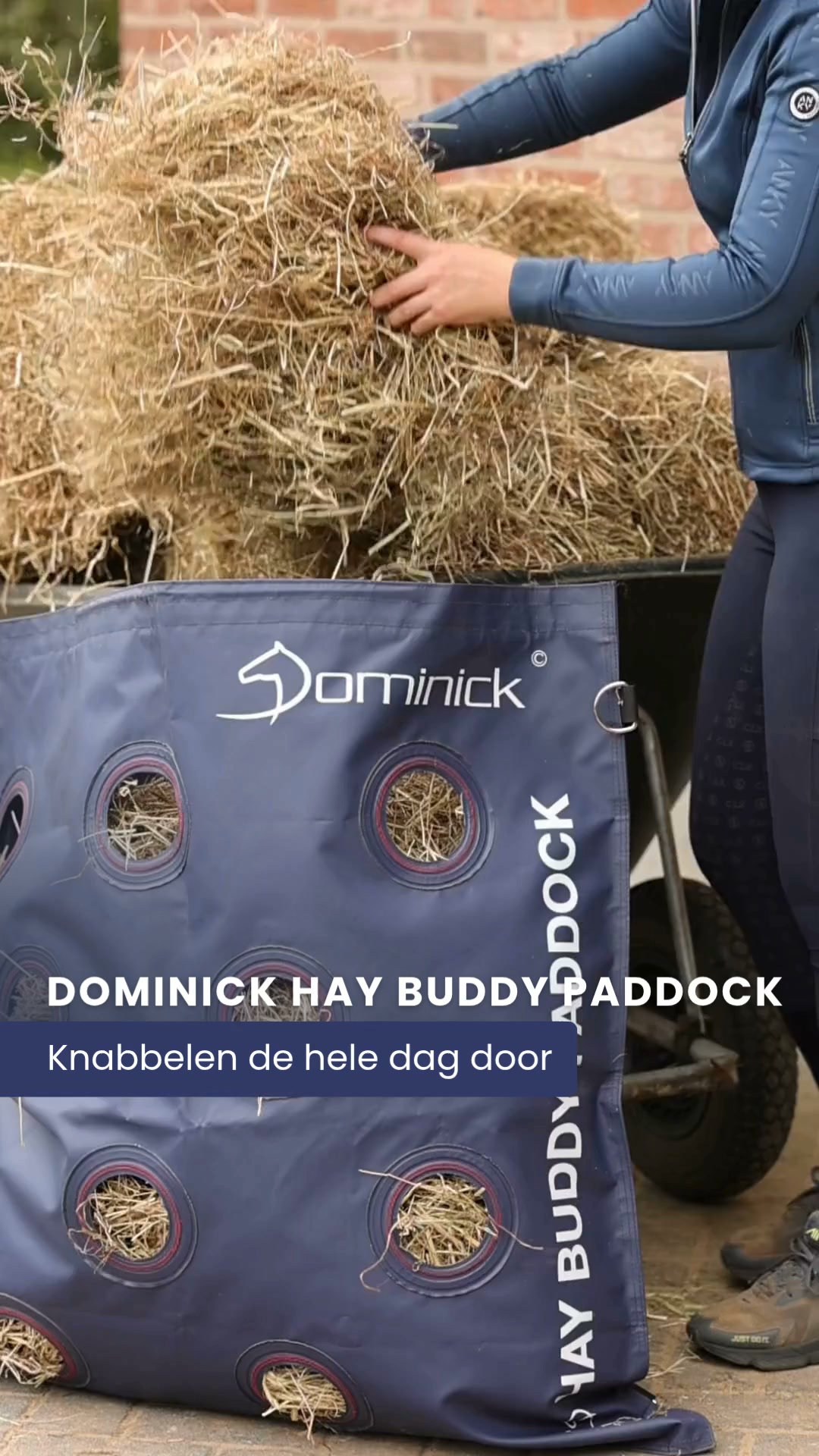 Knabbelen de hele dag door