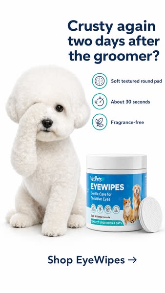 Keep the groomer-fresh look between visits
