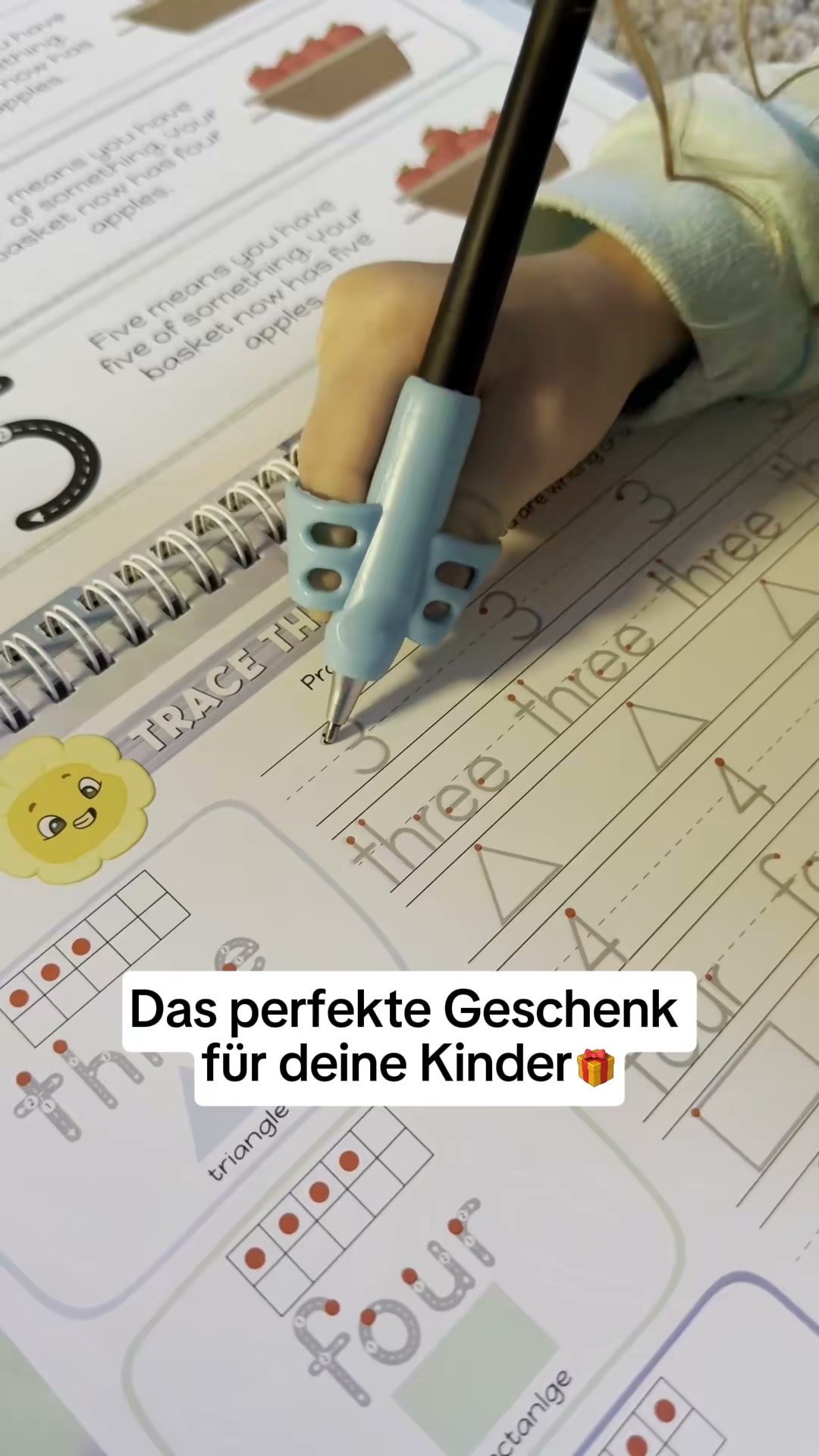 5 magische Lernhefte + 1 Gefühlstagebuch