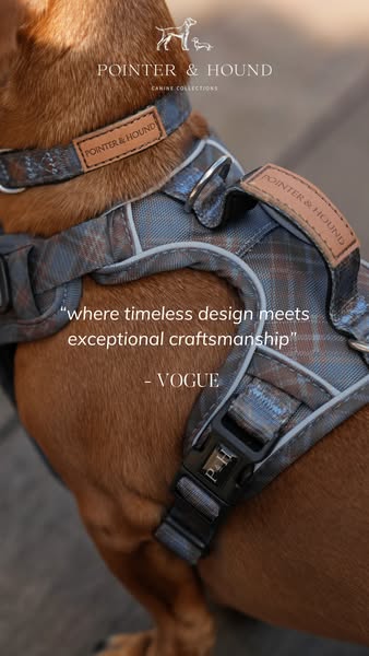 Premium Dog Gear