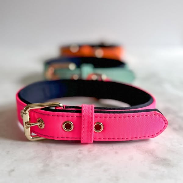 Waterproof Active Collar