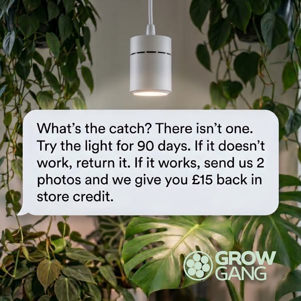 No Catch. Just £15 Back.