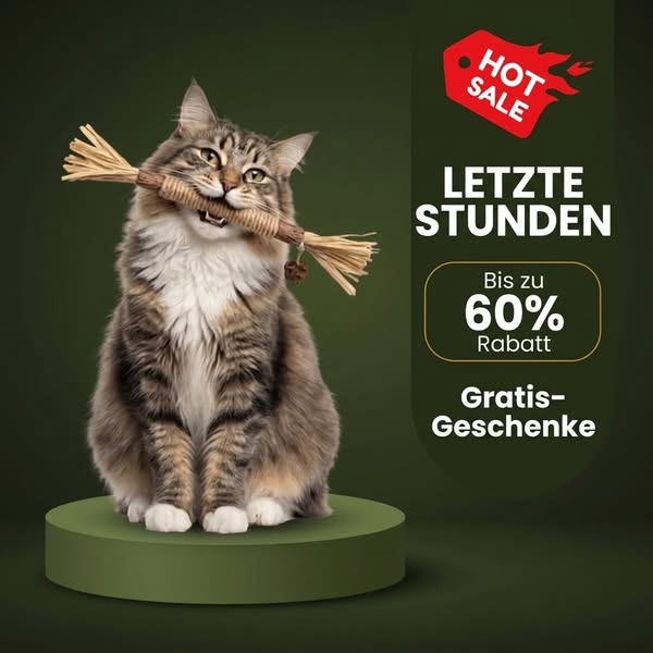 Letzte Stunden: Rabatt + Gratis-Geschenke