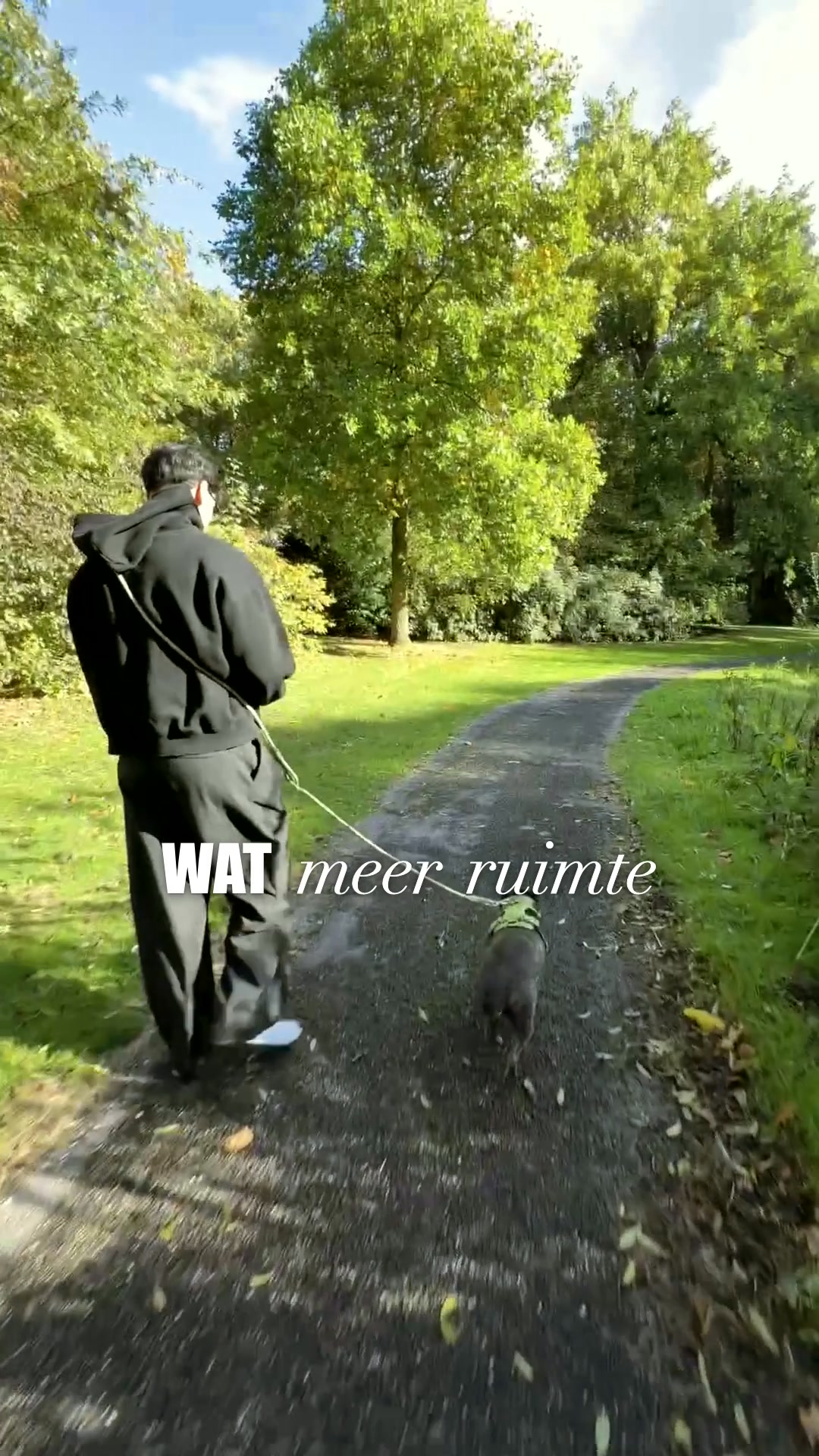 Tijdelijk met 20% korting