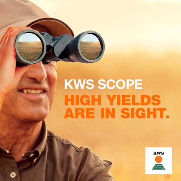 KWS Scope