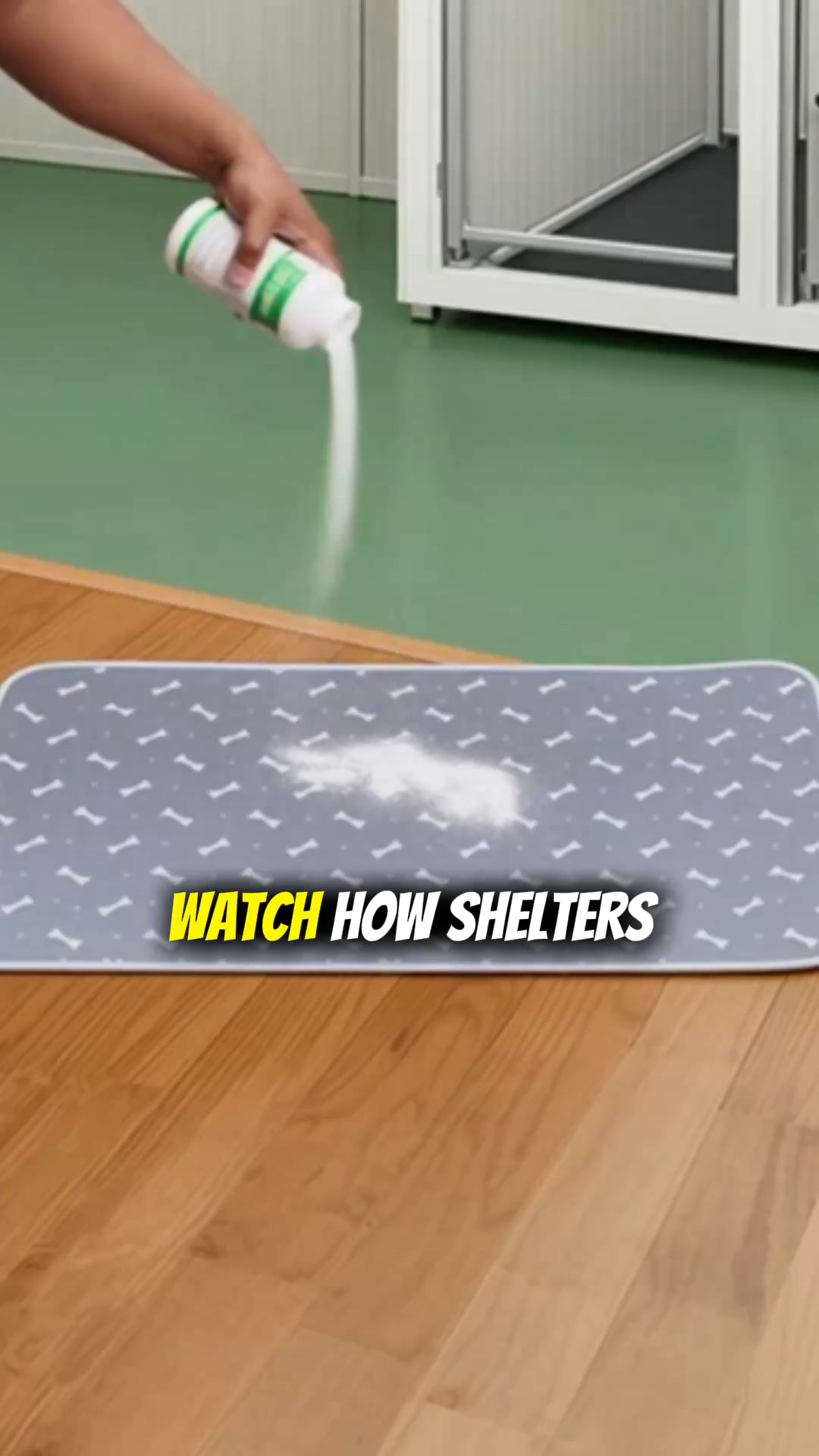 How We Potty Train Any Dog Instantly