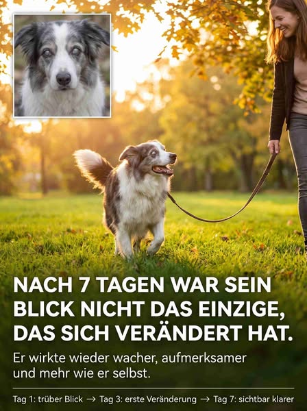Du siehst es jeden Tag — und hoffst, dass es nicht schlimmer wird