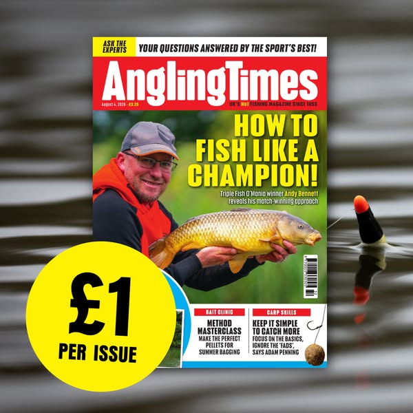 4 issues for just £4