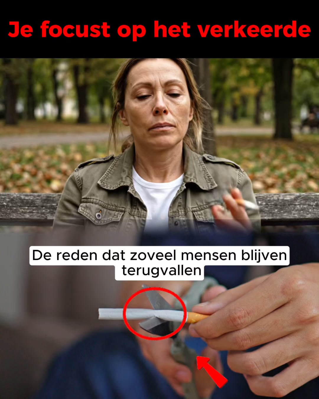 Artikel: Voeding & Stoppen met roken