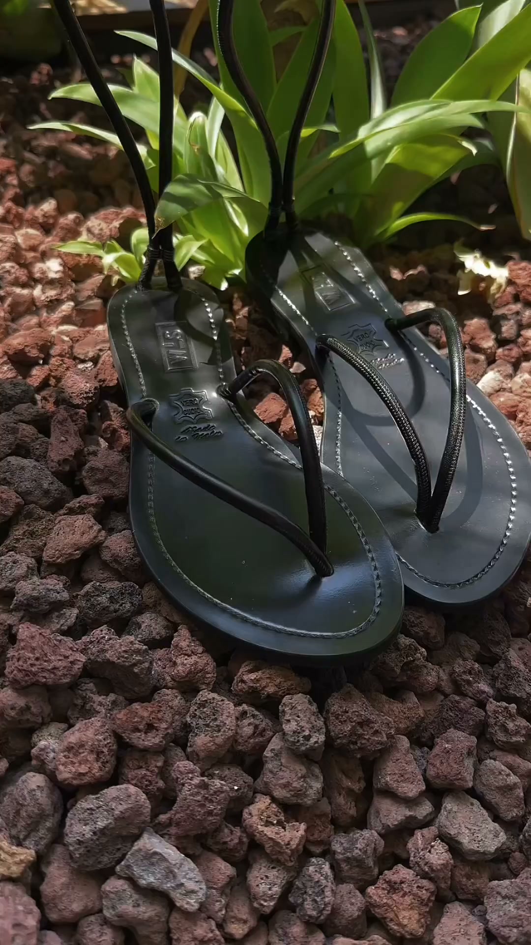 Rodi in nappa nera