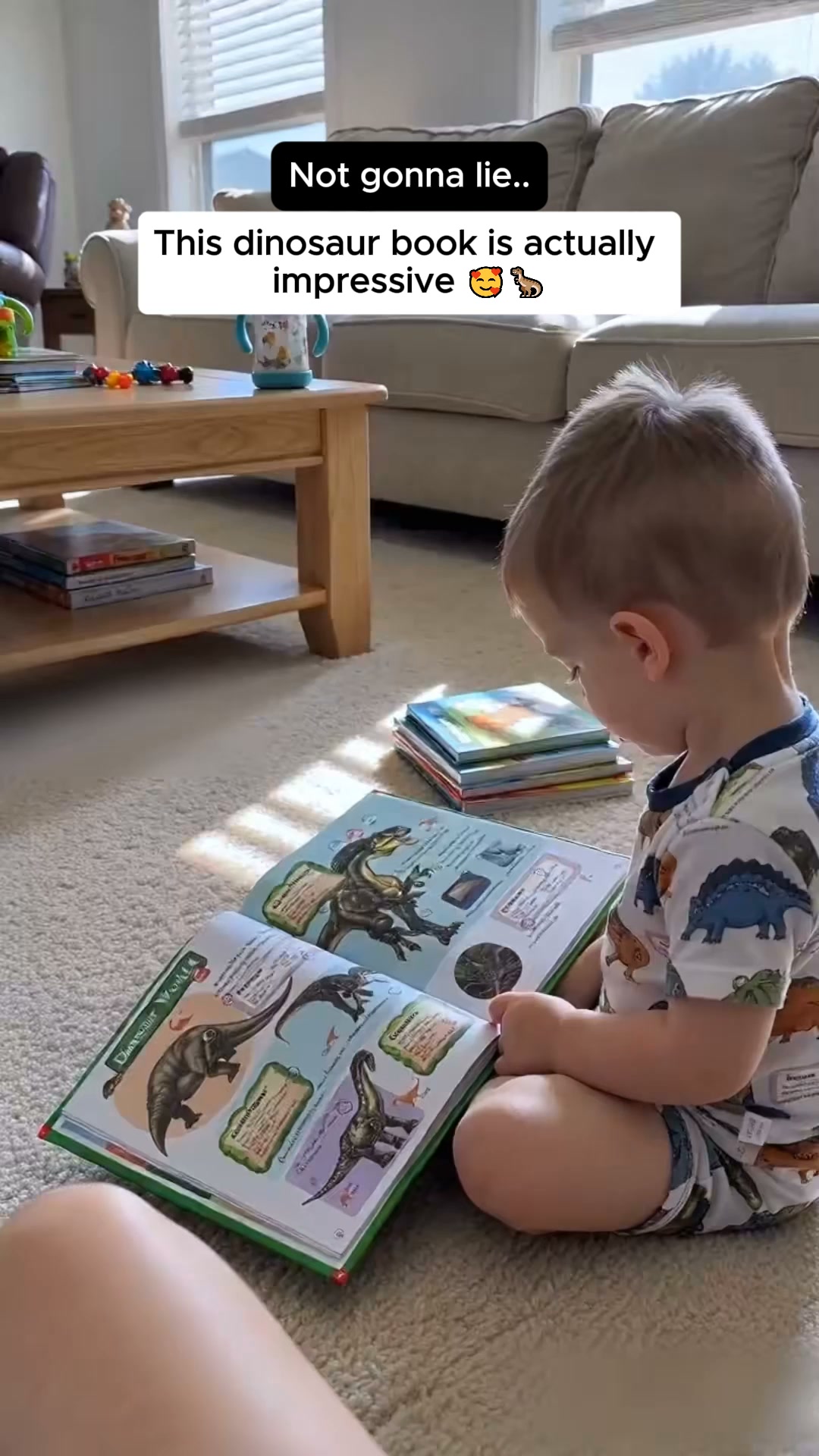 Interactive Dinosaur Book That Talks