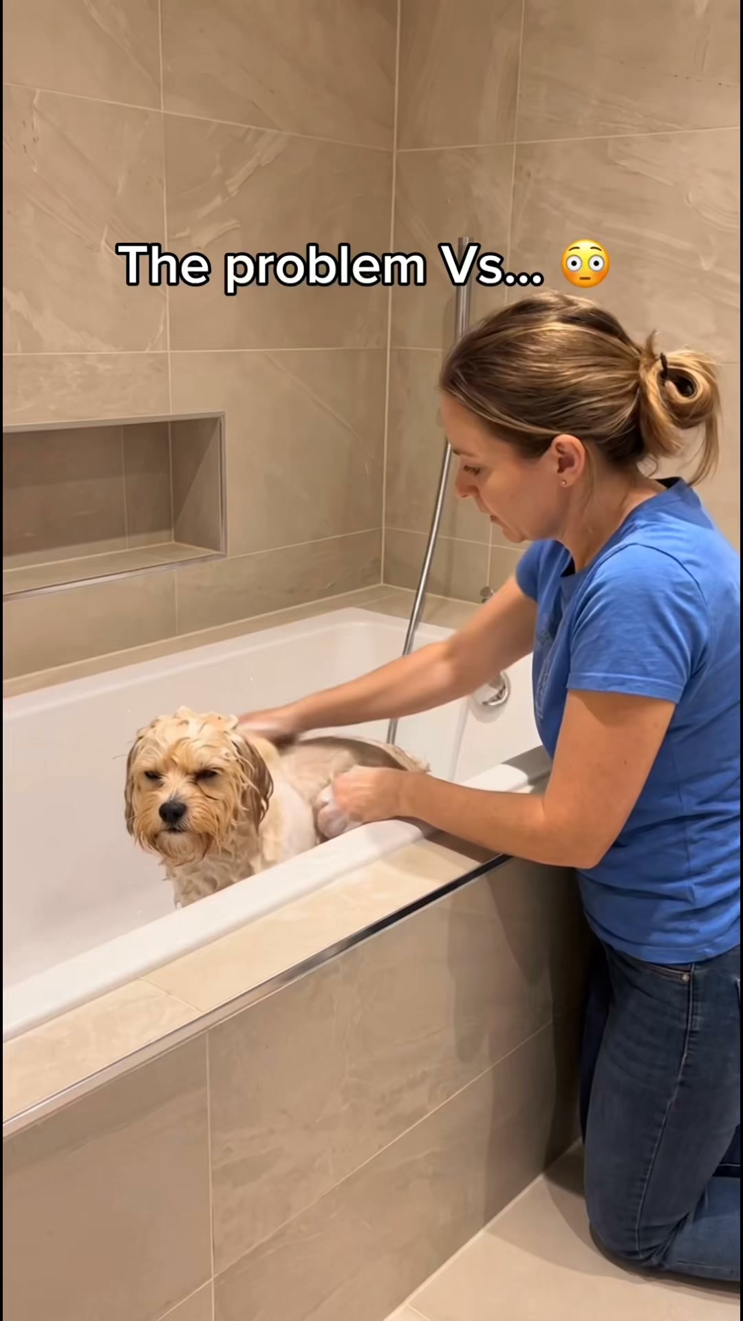 A Steadier Way to Groom at Home