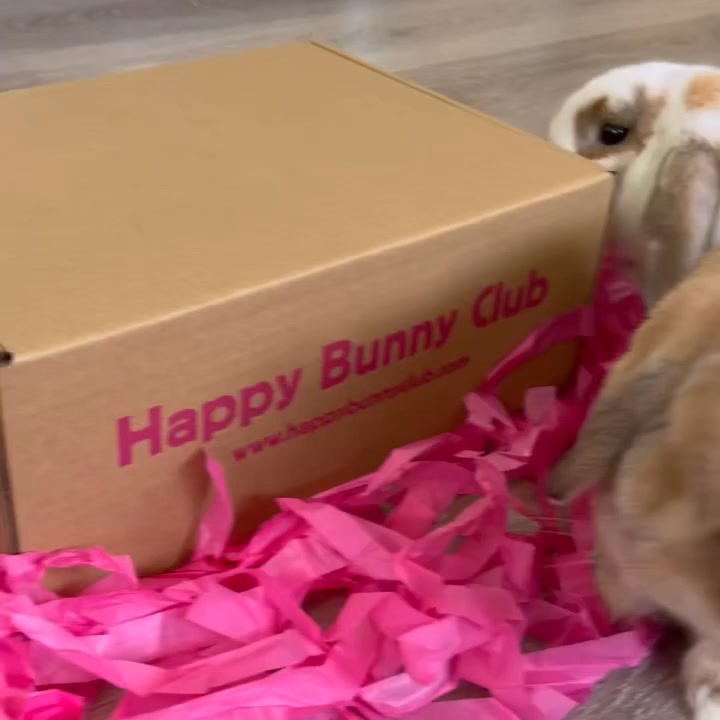 Get your first box for just $24, with free shipping.