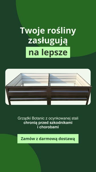 Darmowa dostawa