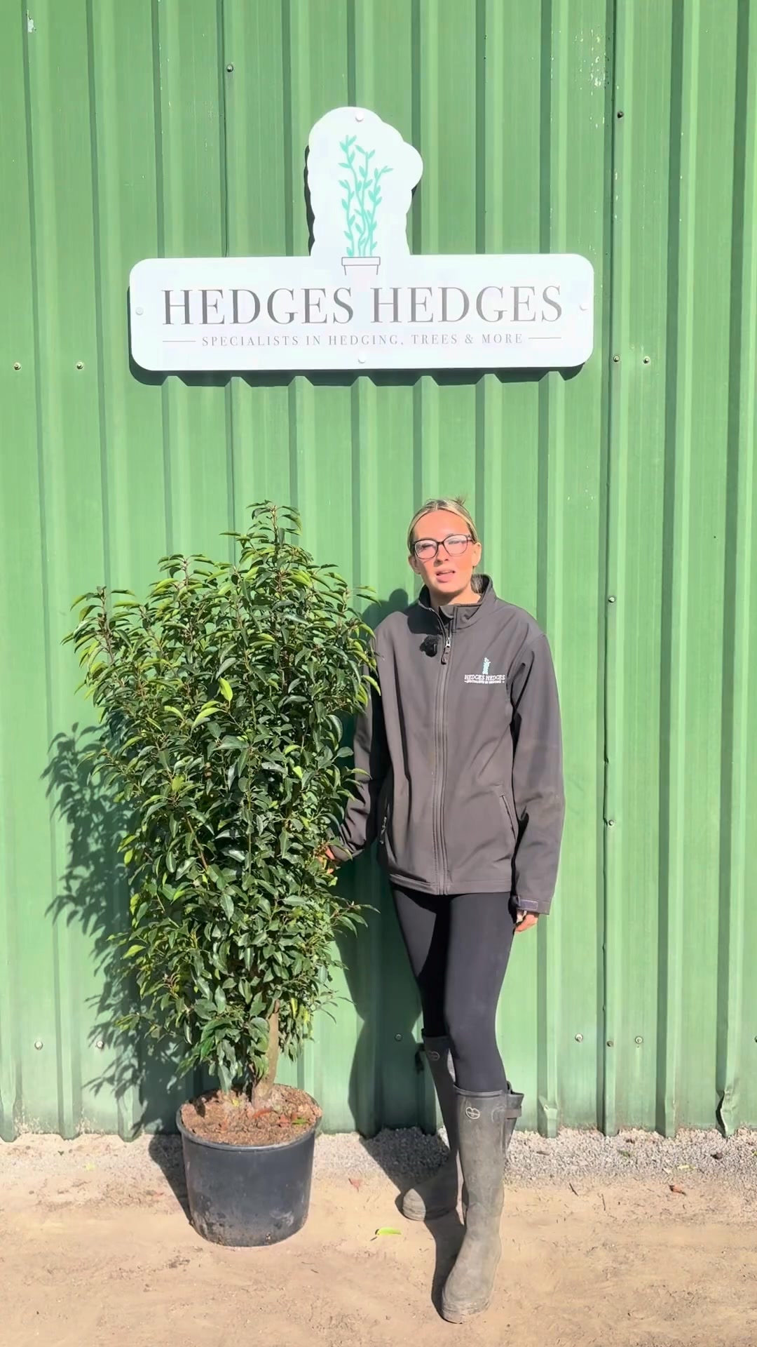 Premium Privacy With Portuguese Laurel