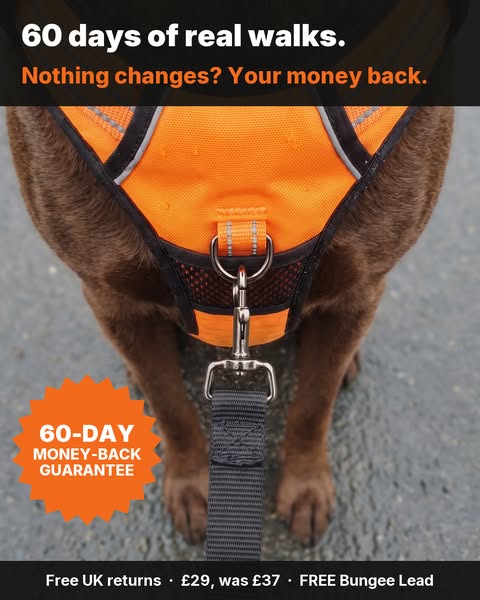 60-day money-back guarantee