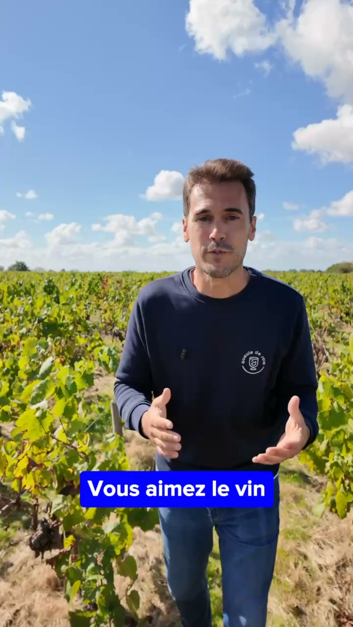 Découvrez une autre façon d’aimer le vin