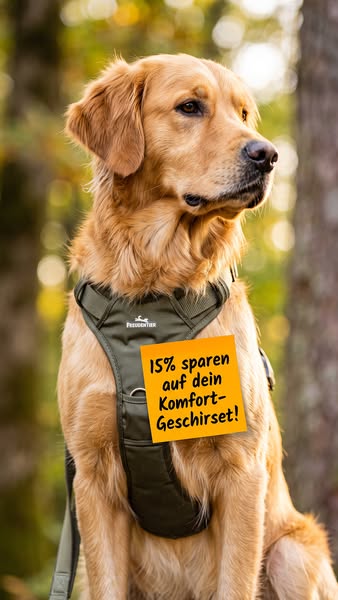 In 2-4 Tagen bei dir
