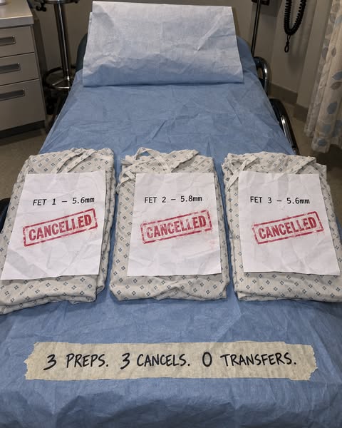 4 Euploid Embryos. Zero Transfers.