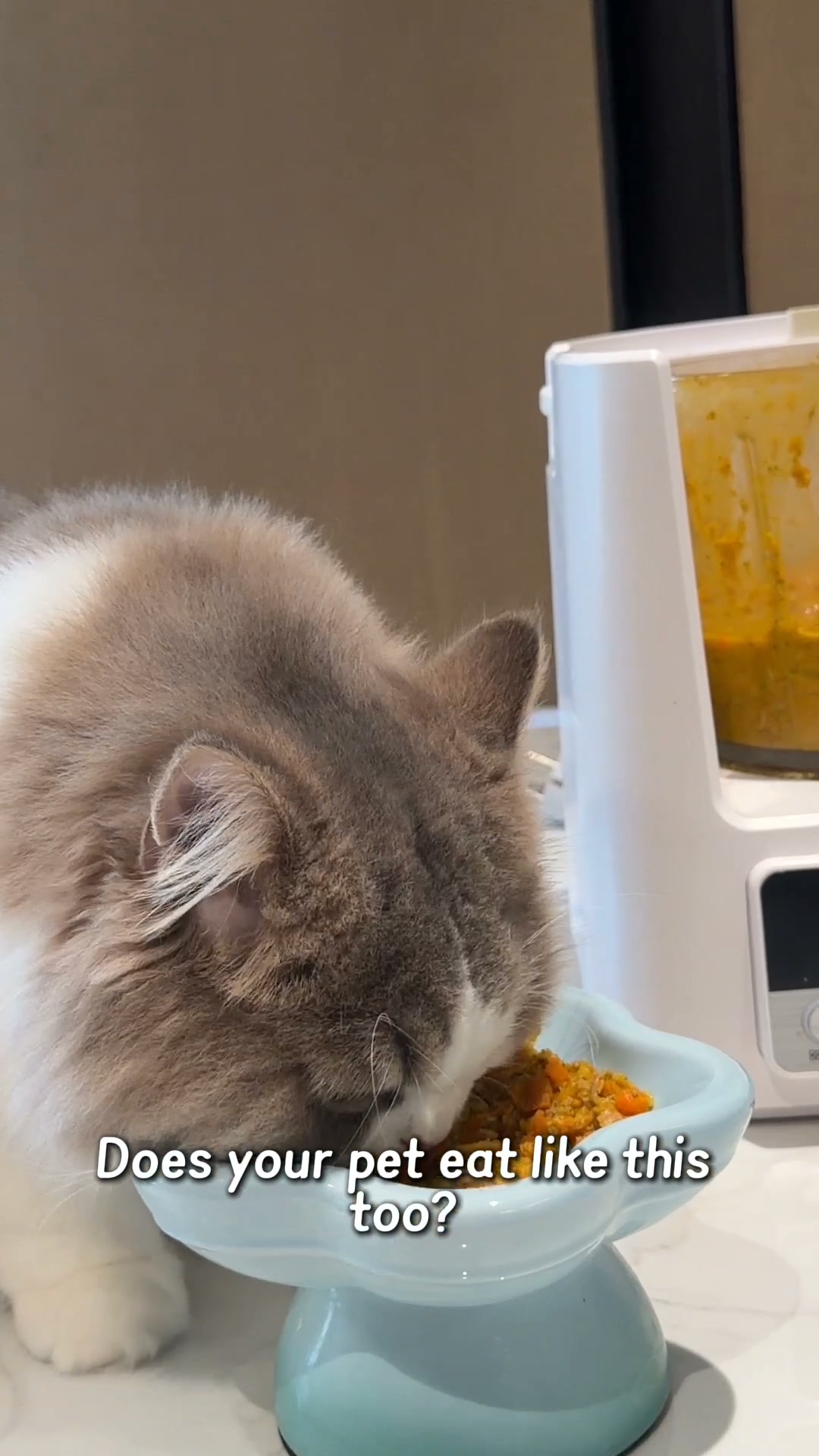 A Mealtime Game Changer