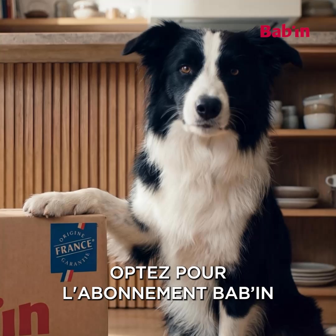Ne tombez plus jamais à court de croquettes !