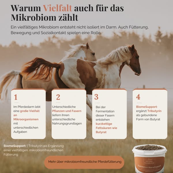 Jetzt den Unterschied entdecken