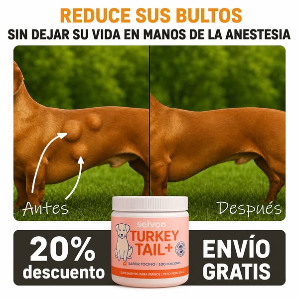 Antes de que sea demasiado tarde