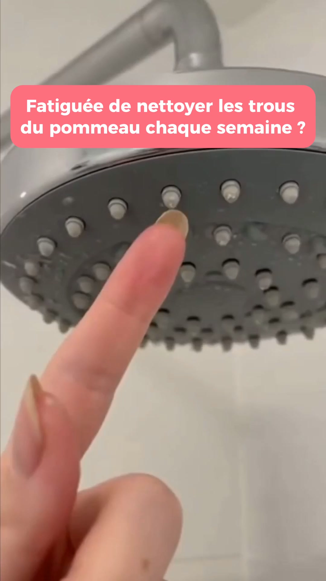 Livraison Gratuite