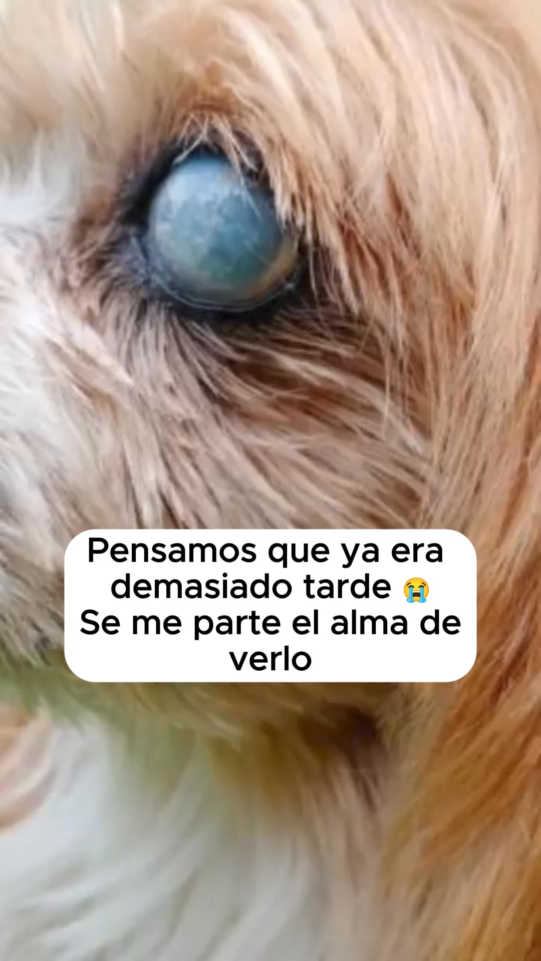 Cuida su vista