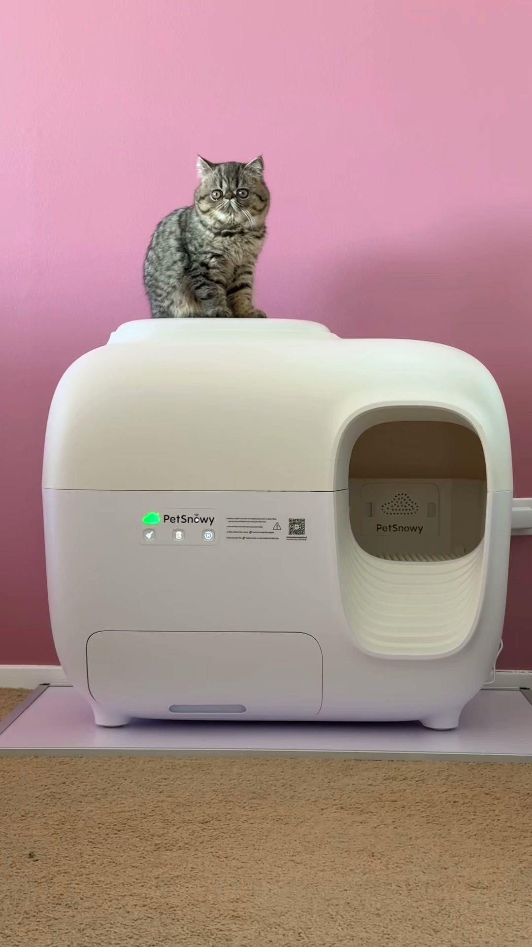 PetSnowy® Automatic Litter Box