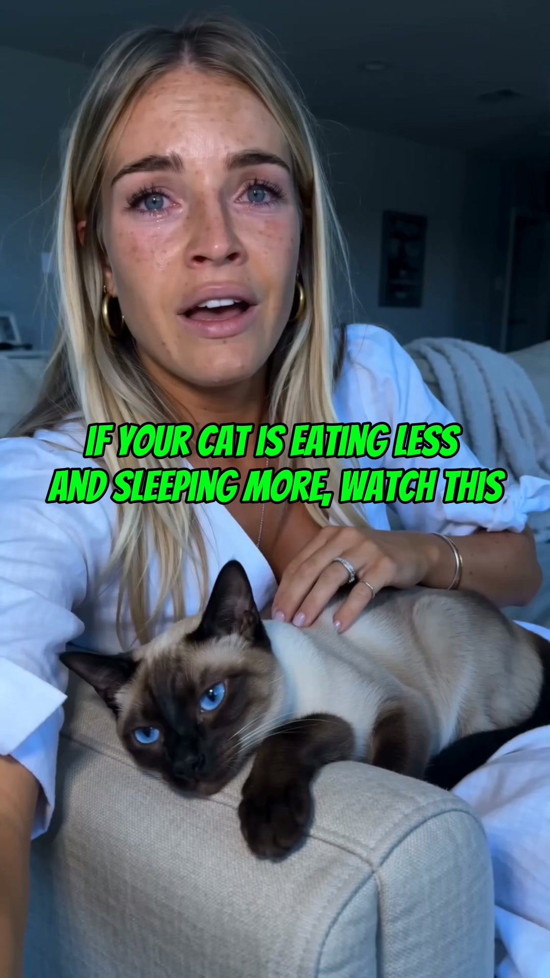 Every Test Came Back Normal. My Cat Was Dying Anyway.